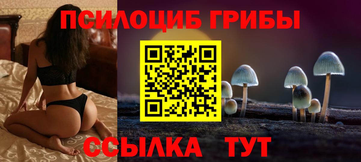 Псилоцибиновые грибы мухоморы Гатчина