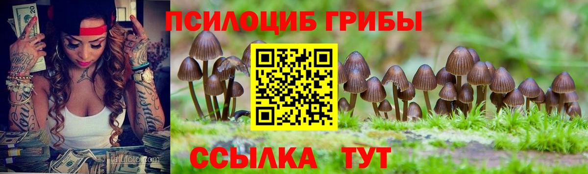 Галлюциногенные грибы Magic Shrooms  Вход с VPN  Псилоцибиновые грибы Psilocybe  Гатчина 